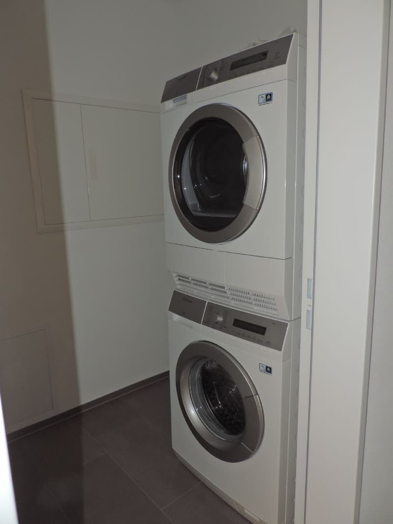 Tolle 4.5 Zimmerwohnung in Wangen b. Olten (12)