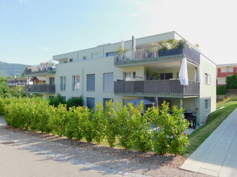 Tolle 4.5 Zimmerwohnung in Wangen b. Olten (1)