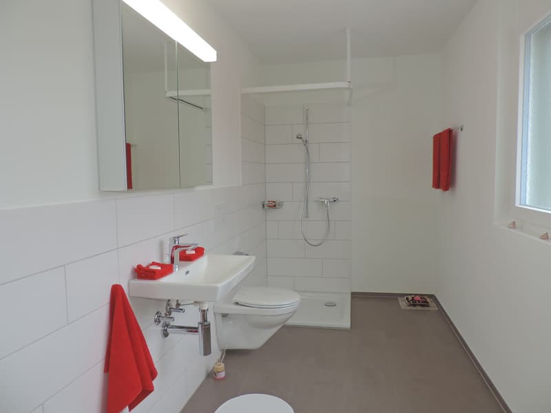 Tolle 4.5 Zimmerwohnung in Wangen b. Olten (10)