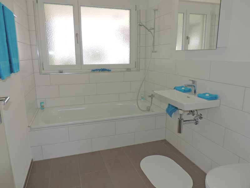 Tolle 4.5 Zimmerwohnung in Wangen b. Olten (11)