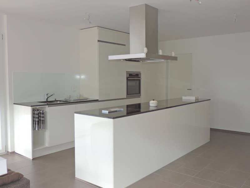 Tolle 4.5 Zimmerwohnung in Wangen b. Olten (3)