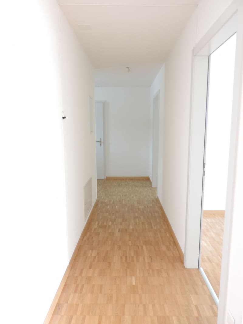 Attika sucht neuen Mieter (13)