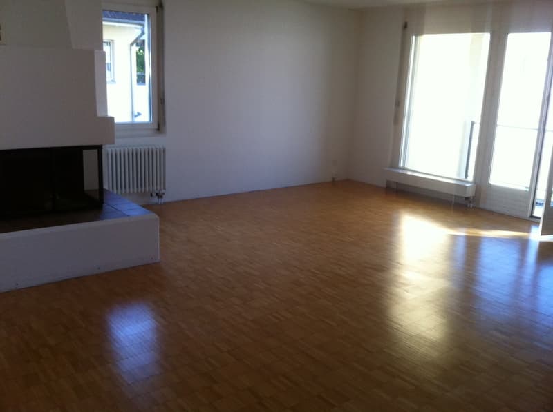 Tolle 4.5 Zimmerwohnung (3)