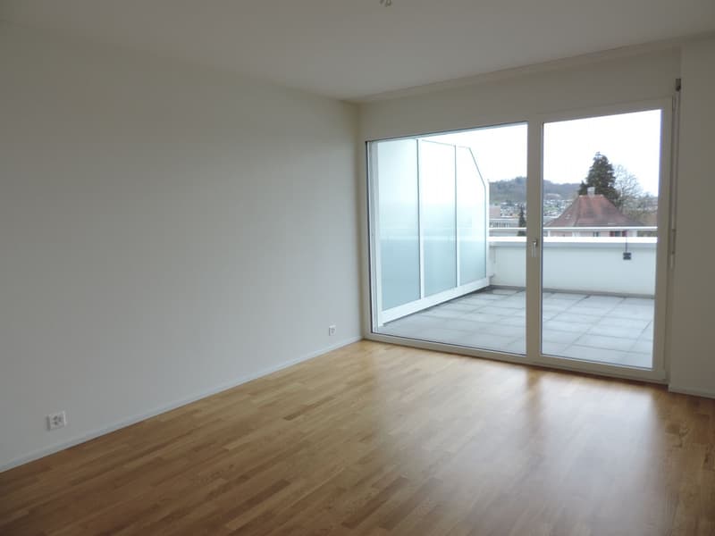 Tolle Attika-Wohnung (6)