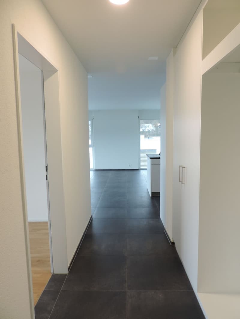 Tolle Attika-Wohnung (9)