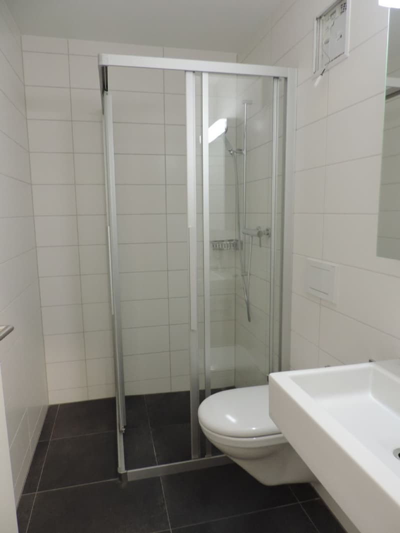 Tolle Attika-Wohnung (8)