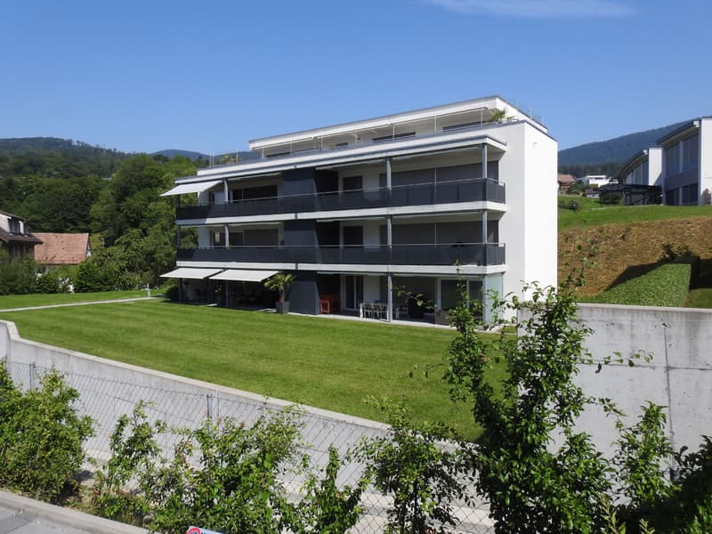 Tolle Attika-Wohnung (1)