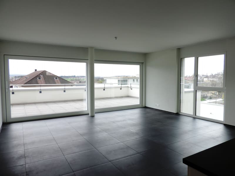 Tolle Attika-Wohnung (3)