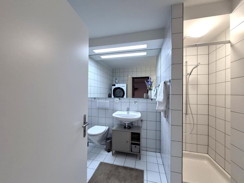 Exklusive möblierte 3.5 Zimmer Stadtwohnung nahe Bahnhof Zug (12)