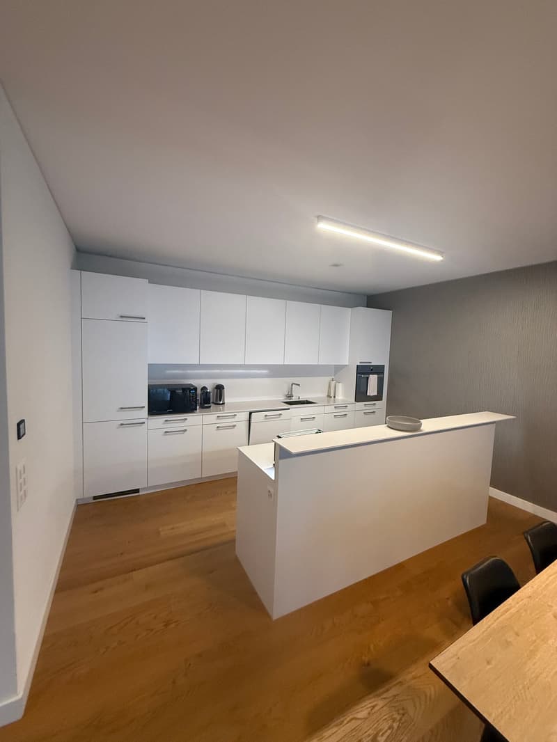 Exklusive möblierte 3.5 Zimmer Stadtwohnung nahe Bahnhof Zug (3)