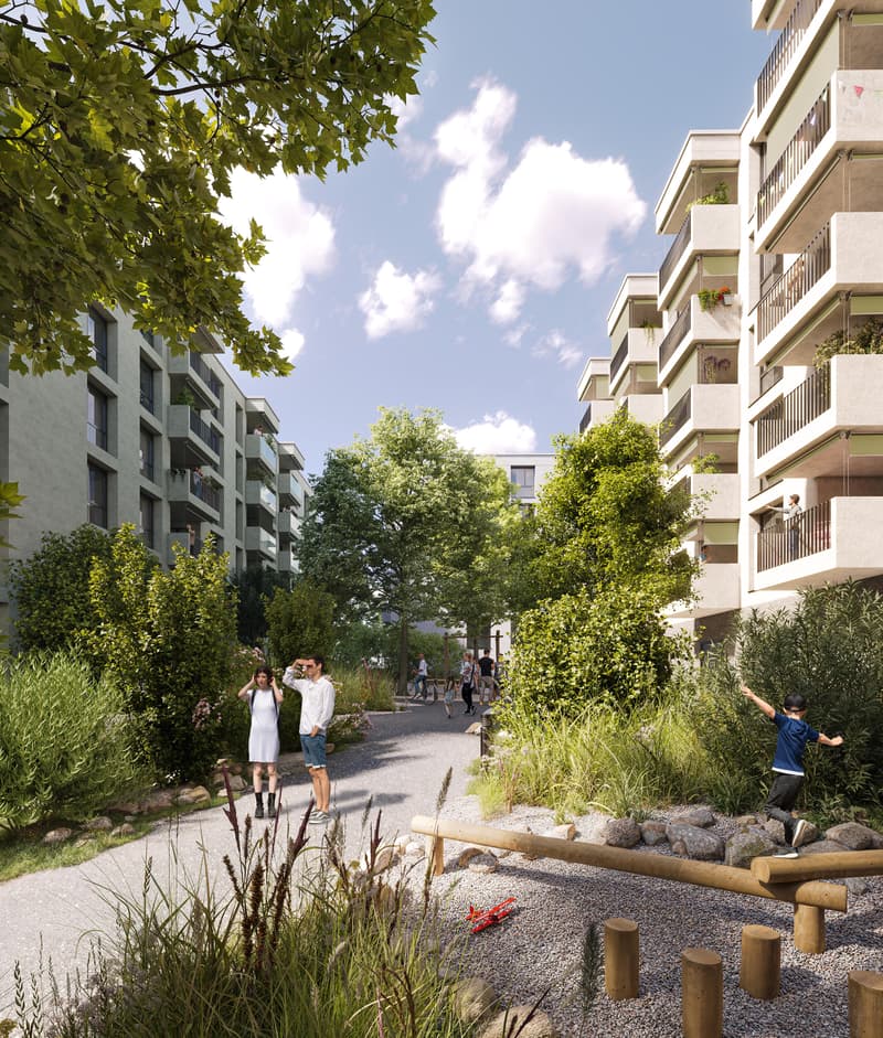 Rüüssegg - Fluss, Stadt, Land (6)