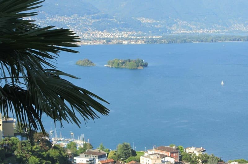 Terrain à bâtir (8)
