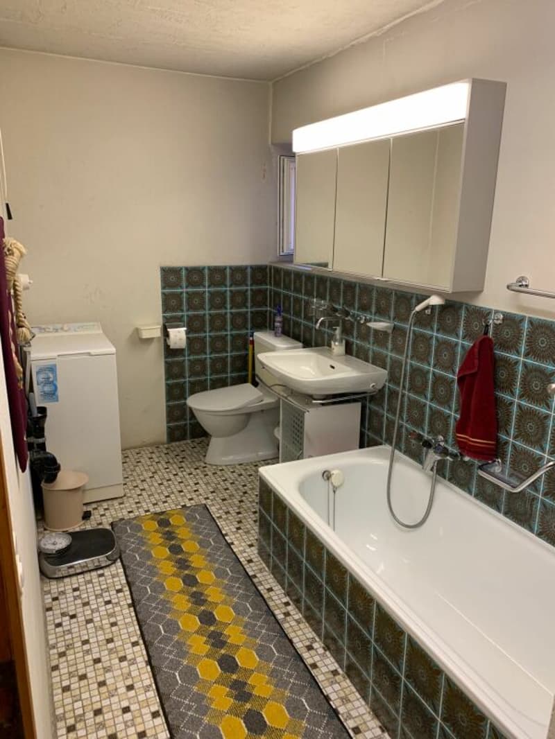 Casa ticinese di 7 locali con potenziale (8)