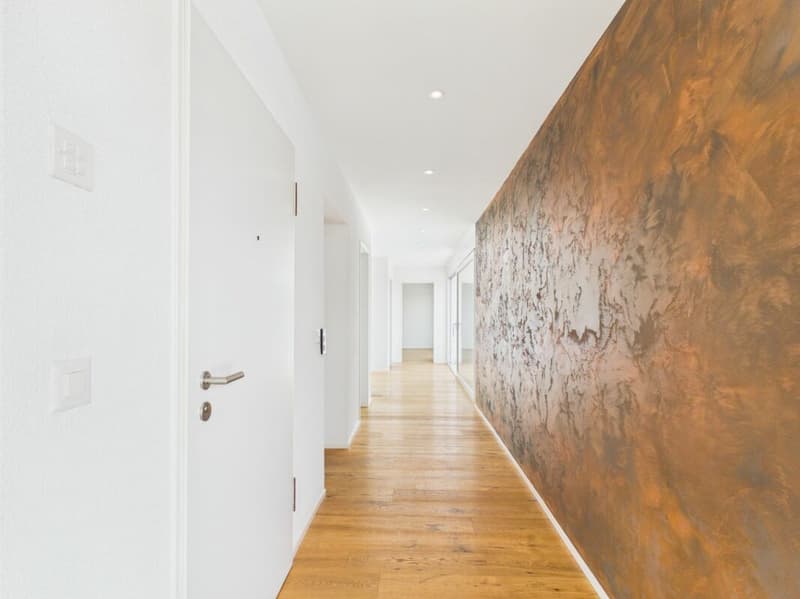 Sehr gepflegte, neuwertige Attika-Wohnung mit div. Extras wie Riesen-Terrasse, Lift mit direktem Zugang in die Wohnung, übergrossen Parkplätzen usw. (32)