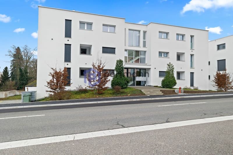 Sehr gepflegte, neuwertige Attika-Wohnung mit div. Extras wie Riesen-Terrasse, Lift mit direktem Zugang in die Wohnung, übergrossen Parkplätzen usw. (45)