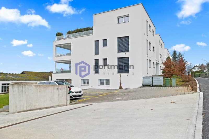 Sehr gepflegte, neuwertige Attika-Wohnung mit div. Extras wie Riesen-Terrasse, Lift mit direktem Zugang in die Wohnung, übergrossen Parkplätzen usw. (44)