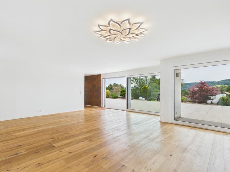 Sehr gepflegte, neuwertige Attika-Wohnung mit div. Extras wie Riesen-Terrasse, Lift mit direktem Zugang in die Wohnung, übergrossen Parkplätzen usw. (40)