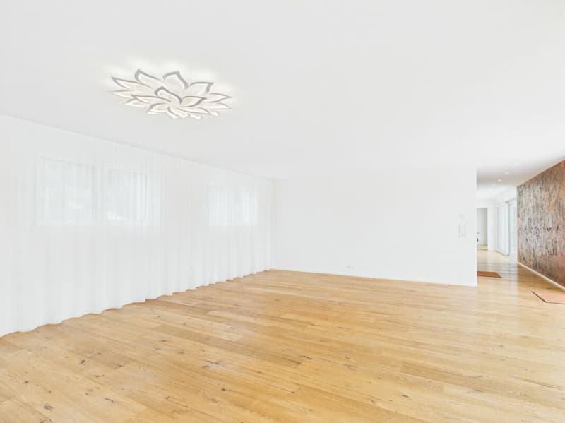 Sehr gepflegte, neuwertige Attika-Wohnung mit div. Extras wie Riesen-Terrasse, Lift mit direktem Zugang in die Wohnung, übergrossen Parkplätzen usw. (29)