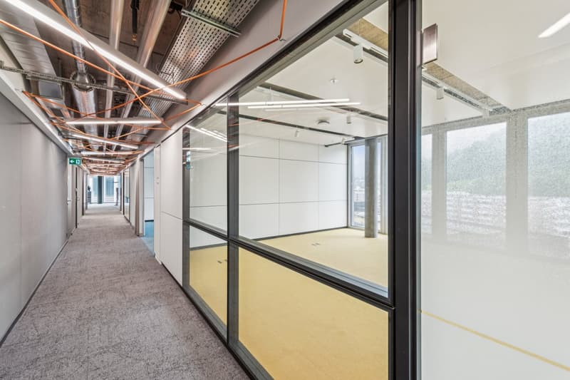 Carpeted hallway, glass walls, white walls, yellow carpet in room, large windows
