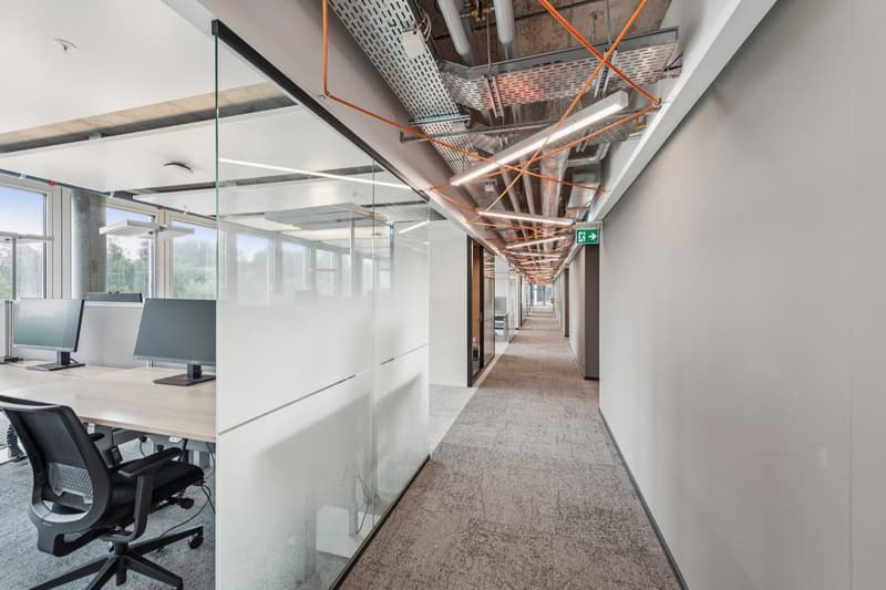 Glass walls, glass doors, desks with monitors, office chairs, carpeted floor, modern interior design, daylight through windows