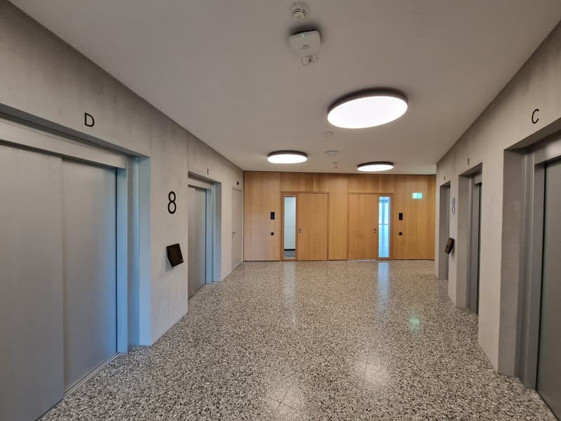 Empty corridor with elevator shafts on either side, wooden doors, circular ceiling lights