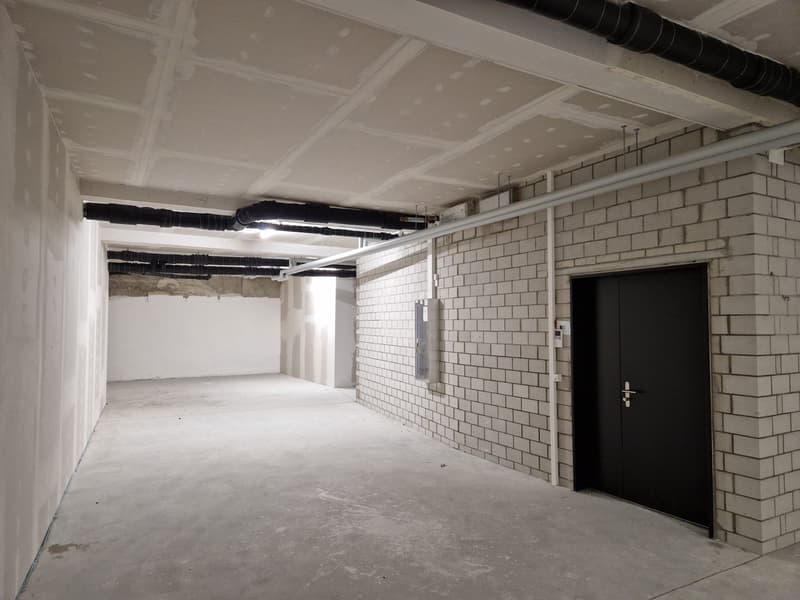 unfinished basement, concrete floor, brick walls, large door, pipes on ceiling and walls