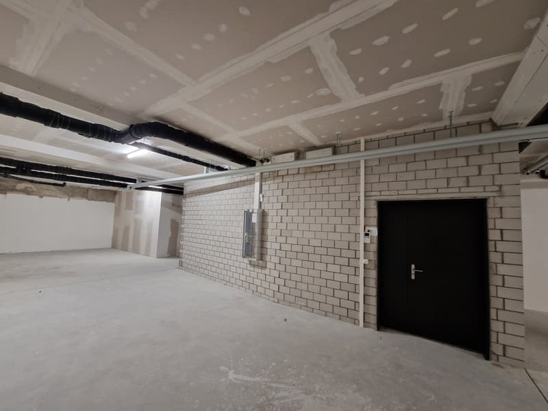 empty basement room, brick wall, concrete floor, doors, electrical panel, pipes