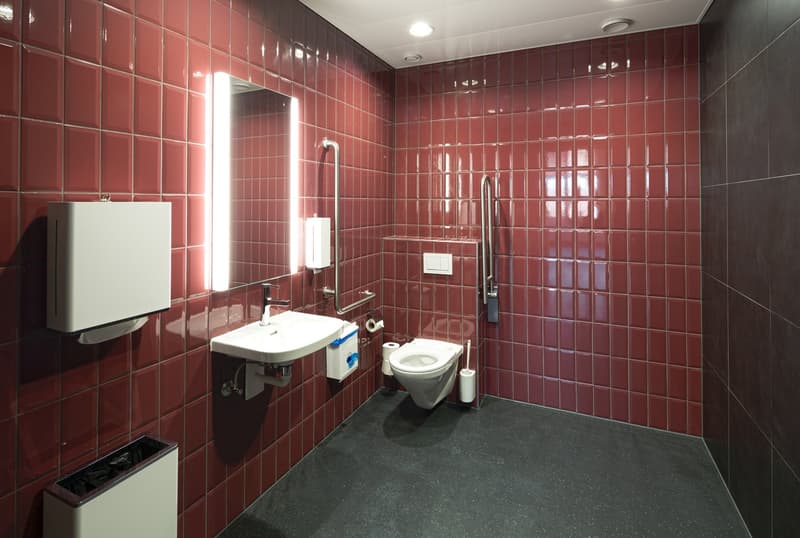 red tiled walls, white toilet, white sink, mirror, toilet paper, handrail, dispenser