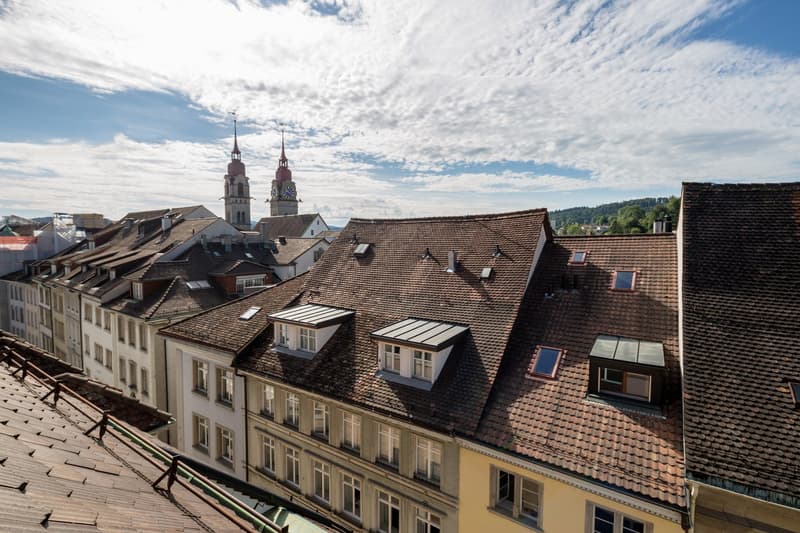 urban area with many buildings, tiled roofs, multiple windows, spires, mountains in the distance
