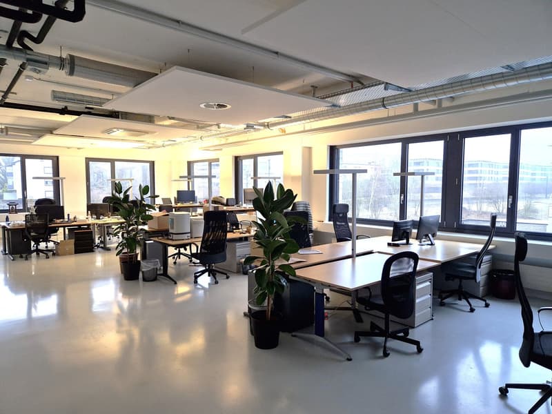 Flexible Büro-/Gewerbefläche in attraktiver Gewerbeliegenschaft (5)