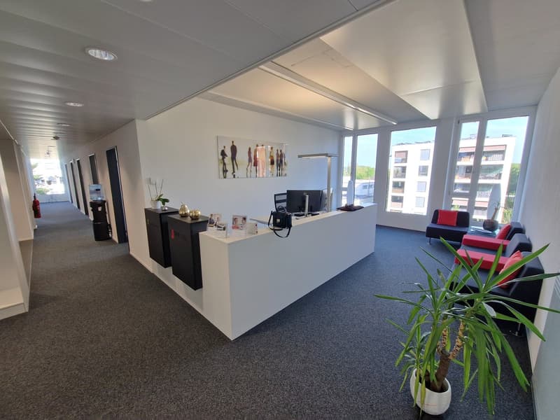 Letzte freie Büro-/Gewerbefläche - 466 m² ausgebaute Räumlichkeiten an Top-Lage (4)