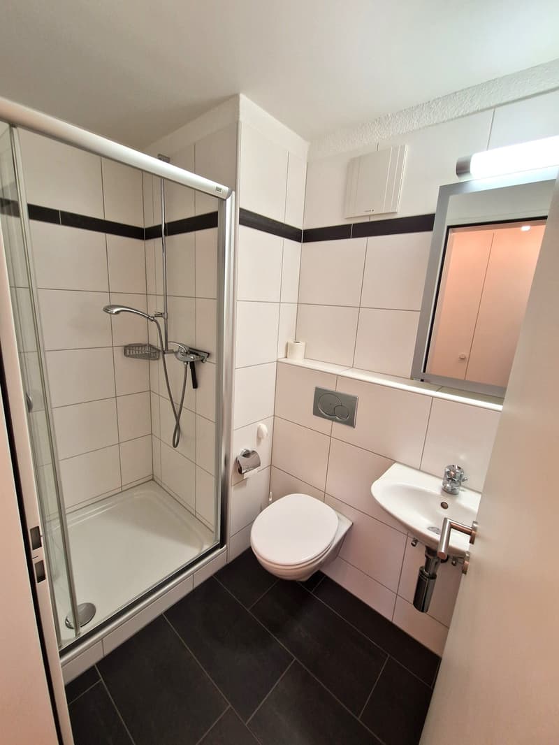 Attraktive 4.5-Zimmer-Wohnung mit Balkon und privatem Hobby-/Waschraum (13)