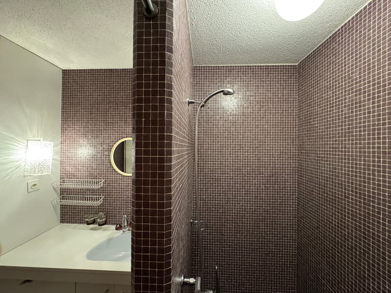 Attraktives 6.5-Zimmer-Reiheneinfamilienhaus mit unverbaubarer Aussicht (12)