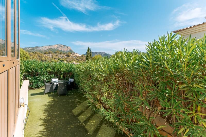 Why just dream? This Mallorca property earns with (3)