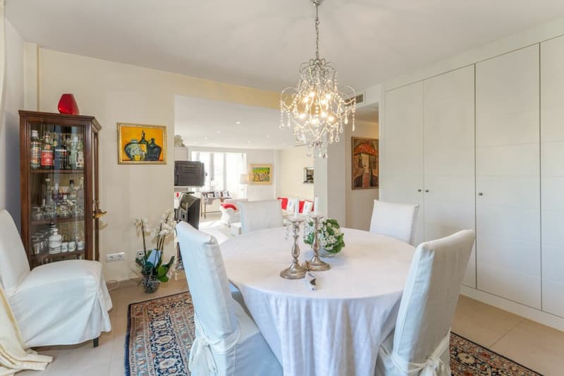 Why just dream? This Mallorca property earns with (7)
