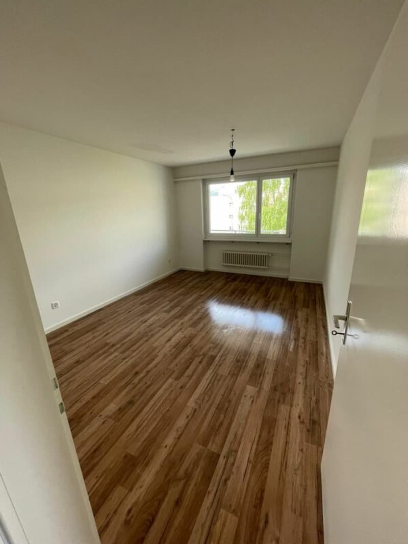 Ihr Logenplatz in Rheineck - mit sonnigem Südbalkon (3)