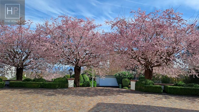 Zeitlose Landhausvilla der Extraklasse (7)
