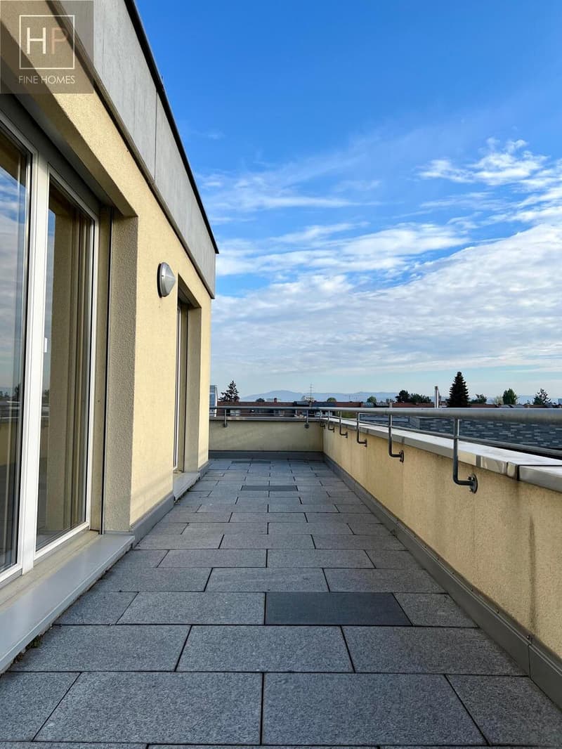 4.5 Zimmer Attika-Eigentumswohnung mit Hobbyraum und 2 Autoeinstellhallenplätze (5)