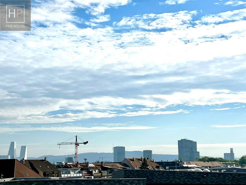 4.5 Zimmer Attika-Eigentumswohnung mit ausgebauten Raum und 2 AEHP (13)