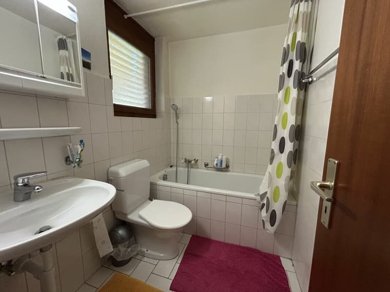 3 1/2 room apartment, Hubel 75 (5)
