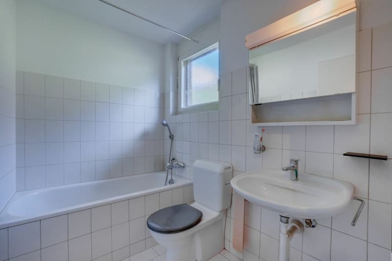 3 1/2 room apartment, Hubel 77 (5)
