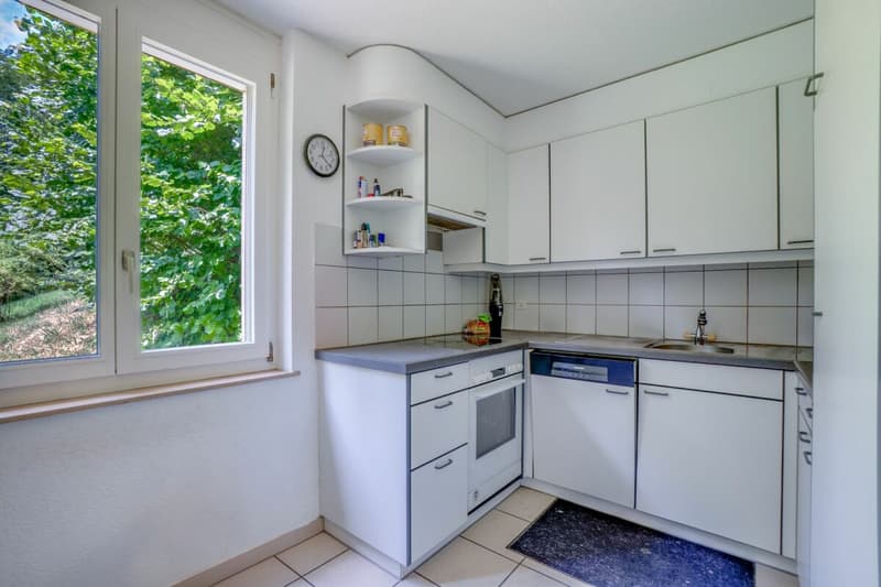 3 1/2 room apartment, Hubel 77 (4)