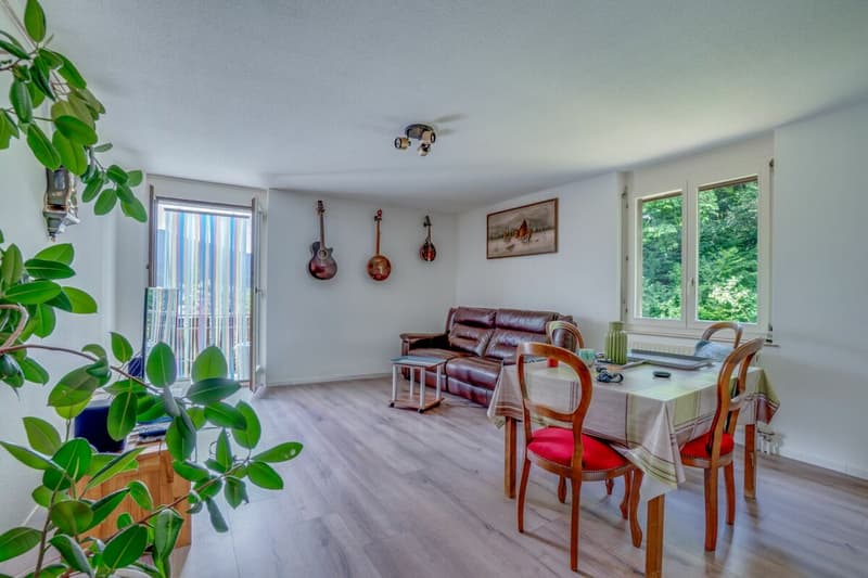 3 1/2 Zimmerwohnung, Hubel 77 (2)