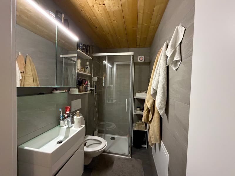 white sink, white toilet, clear shower enclosure, underfloor heating, built-in shelving, towels on wall, wooden ceiling