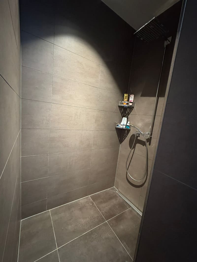 A bathroom with tiled walls and floor, a corner shower with shelves, and a shower head.