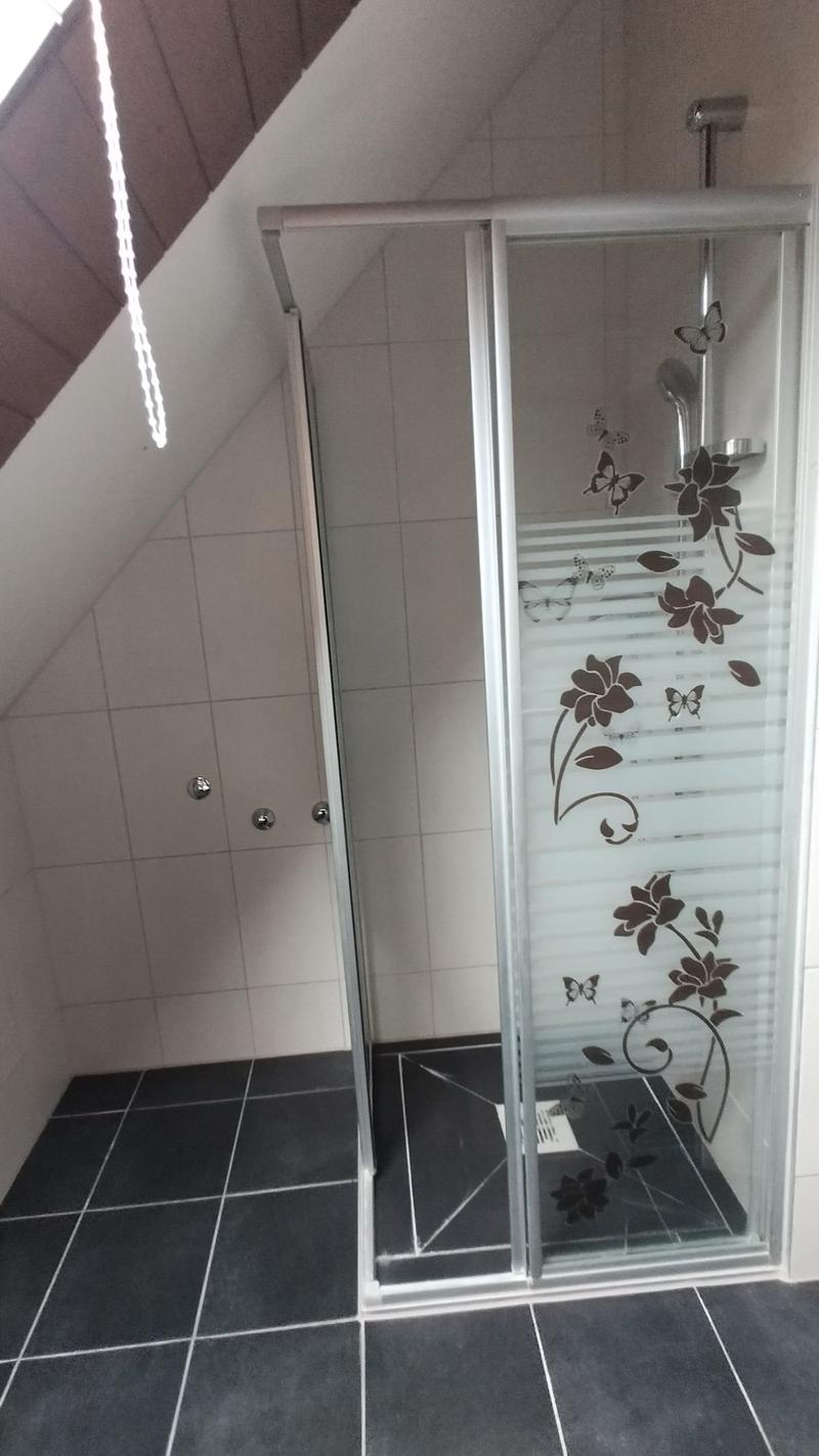 Charmante 2-Zimmer-Dachgeschosswohnung an der Bahnhofstrasse in Olten (6)