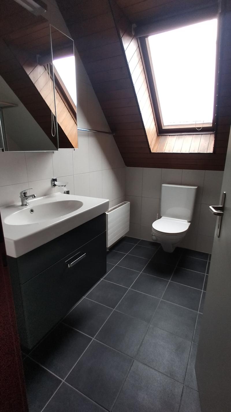 Charmante 2-Zimmer-Dachgeschosswohnung an der Bahnhofstrasse in Olten (7)