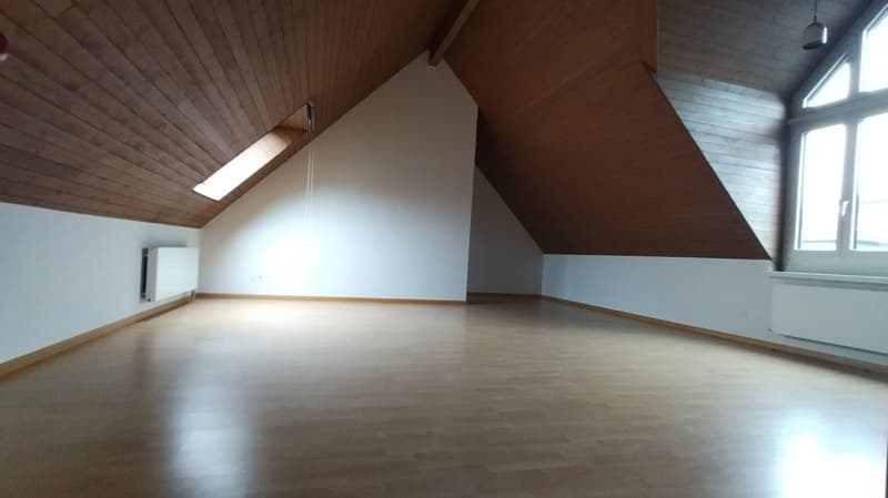 Charmante 2-Zimmer-Dachgeschosswohnung an der Bahnhofstrasse in Olten (8)