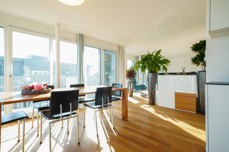 Neuwertige helle Wohnung mit vielen Extras und grossem Balkon (1)