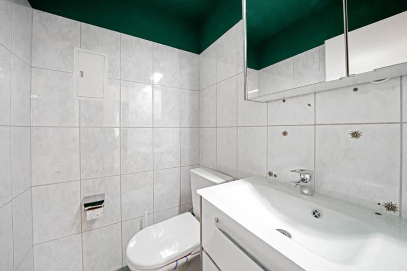 Preiswerte, renovierte 4,5 Zimmer Wohnung 10 min von Basel (5)